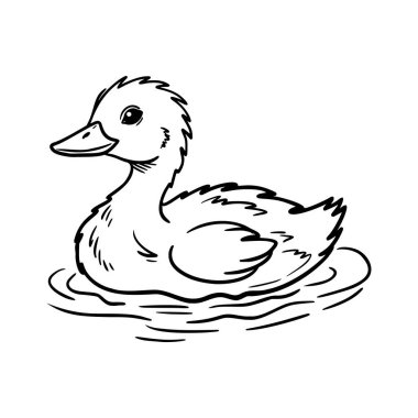 Çocuk boyama kitabı sayfası için uygun, suda yüzen şirin bir ördek yavrusunun siyah beyaz tasviri