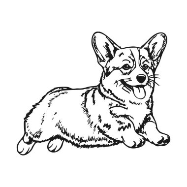 Eğlenceli hareketlerle siyah beyaz çizilmiş mutlu çalışan korgi çizimi. Vektör illüstrasyonu