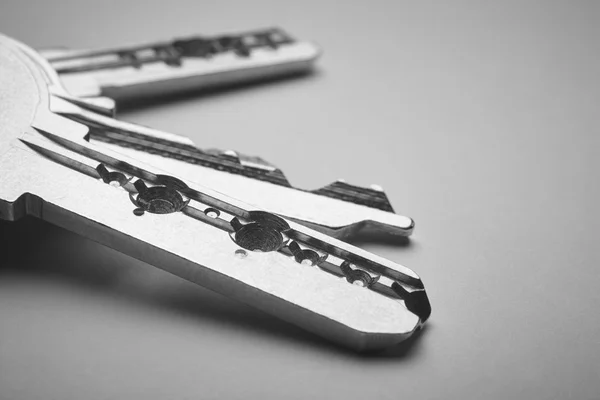 Keyring with keys in black and white. Copy space — Stock Photo, Image