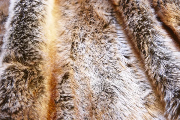 Natuurlijke fox harige achtergrond. Dierlijke spel — Stockfoto