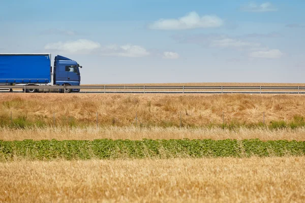 Camión pesado azul en la carretera. Entrega logística de carga . — Foto de Stock