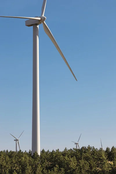 Turbina eólica no campo. Reneno renovável alternativo limpo — Fotografia de Stock