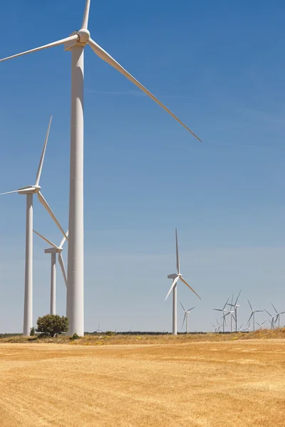 Ветрогенераторы в сельской местности. Чистая альтернатива возобновляемым источникам энергии — стоковое фото