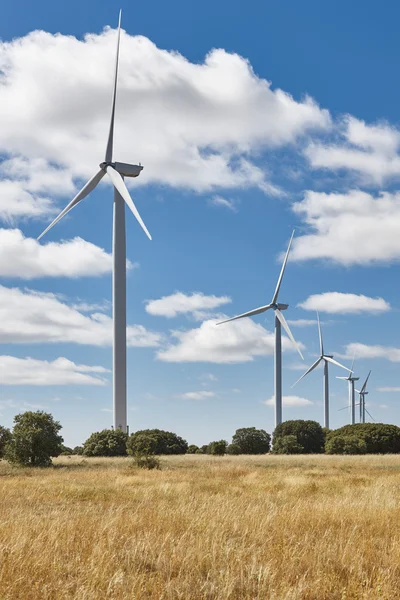 Turbinas eólicas en el campo. Alternativa limpia renovable en — Foto de Stock