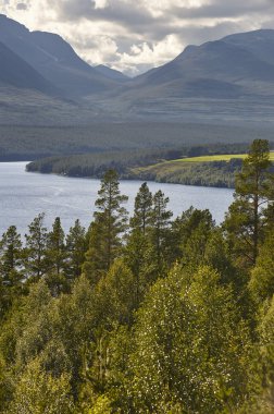 Rondane National Park. Green forest and lake river landscape. No clipart