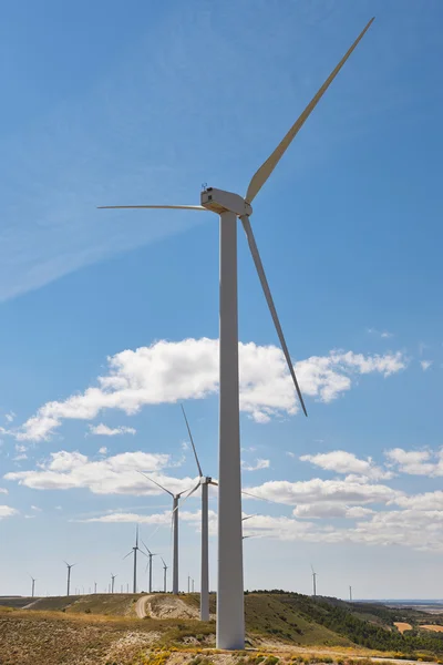 Turbinas eólicas en el campo. Alternativa limpia renovable en — Foto de Stock