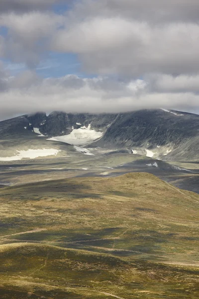 Turystyki Norwegia. Snohetta punktu widzenia. Dovrefjell-Sunndalsfjella Na — Zdjęcie stockowe