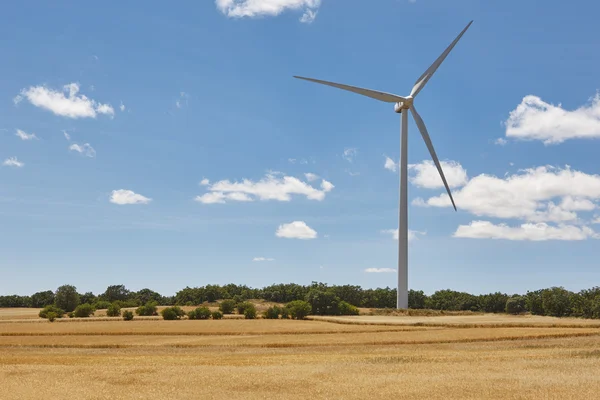 Ветрогенератор в сельской местности. Чистая альтернатива возобновляемым источникам энергии — стоковое фото