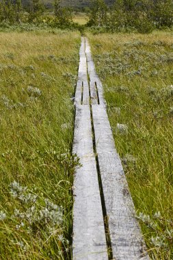 Norveç. Dovrefjell-Sunndalsfjella Park ahşap yolu. Fokstu