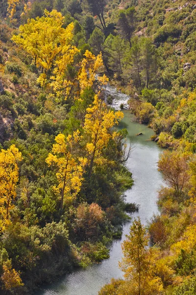 Herbstliche Waldlandschaft Mit Fluss Alarcon Cuenca Spanien — Stockfoto