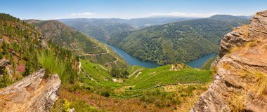 Ribeira Sacra teras üzüm bağları Galiçya, İspanya 'da panoramik manzara