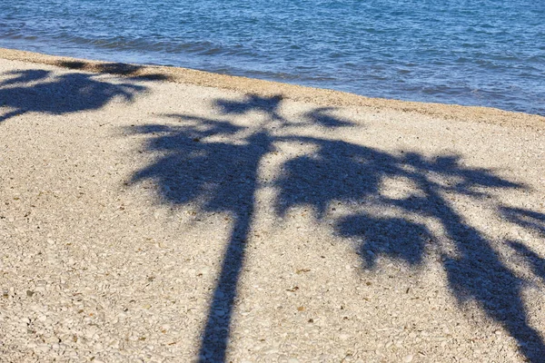 Cienie Palmy Żwirowej Plaży Wybrzeże Morza Śródziemnego Urlop — Zdjęcie stockowe