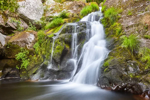 Forêt Tropicale Verte Atlantique Avec Cascade Ruisseau Galice Espagne — Photo