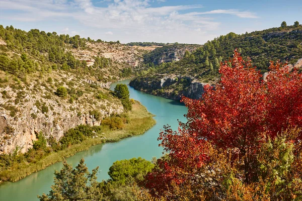 Höstens Skogslandskap Jucar River Canyon Alarcon Och Cuenca Spanien — Stockfoto