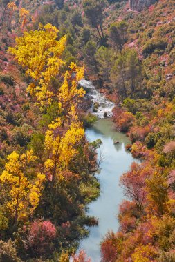 Nehirli sonbahar ormanı manzarası. Alarcon, Cuenca. İspanya