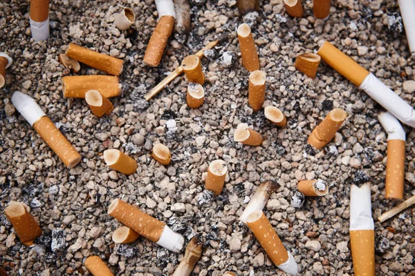 Ashtray with several cigarretes. Tobacco addiction. Cancer disease. Unhealthy