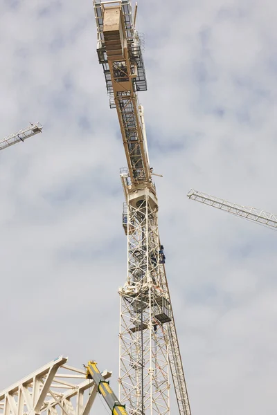 Grúas Telescópicas Bajo Cielo Blanco Industria Construcción — Foto de Stock