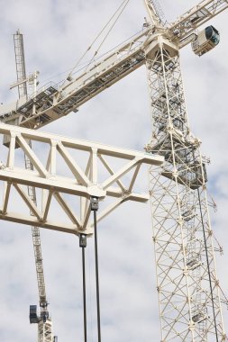 Teleskopik vinçler. İnşaat mühendisliği endüstrisi.