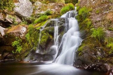 Şelaleli ve dereli Atlantik yeşil yağmur ormanı. Galiçya, İspanya