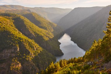 Modern Milenio Köprüsü ve Mino Nehri. İspanya 'da turizm