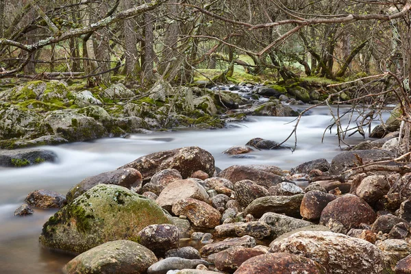 Bos Kreek Met Zijden Effect Lozoya Rivier Madrid Spanje — Stockfoto