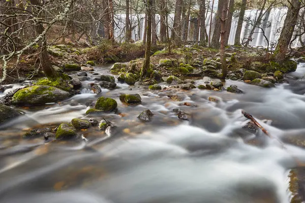 Bos Kreek Waterval Lozoya Rivier Madrid Spanje — Stockfoto