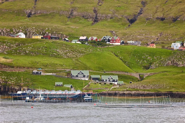 Faroe Islands Salmon Fishing Farms Seafood Industry Northern Europe — Stock Photo, Image