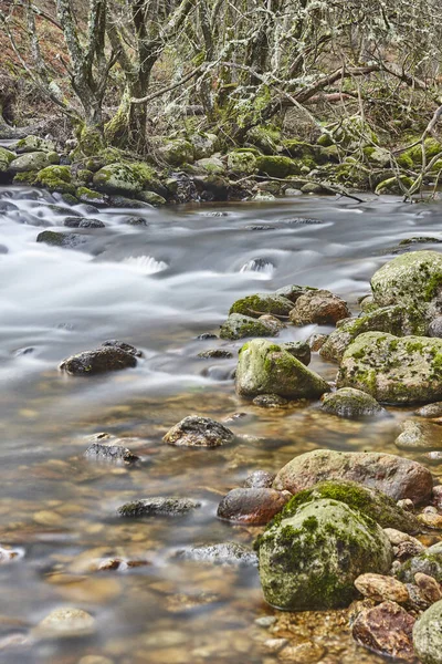 Bos Kreek Met Zijden Effect Lozoya Rivier Madrid Spanje — Stockfoto