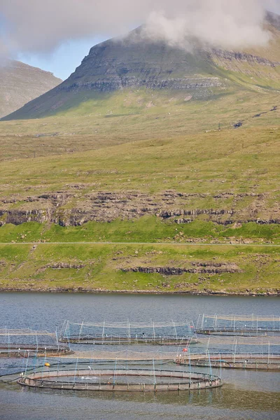 Salmon Fishing Farm Pools Faroe Islands Fjords Aquaculture Industry — Stock Photo, Image