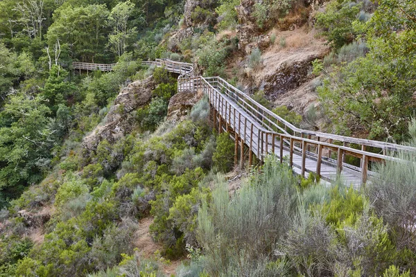 Caminho Madeira Para Floresta Rio Mao Ribeira Sacra Espanha — Fotografia de Stock