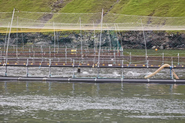 Salmon fishing farm pools in Faroe islands fjords. Aquaculture industry