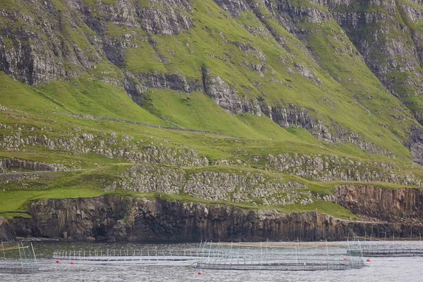 Faroe Adalarındaki Fiyortlarda Somon Balığı Çiftliği Havuzları Ürünleri Endüstrisi — Stok fotoğraf