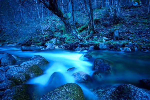 Floresta Riacho Noite Rio Lozoya Madrid Espanha — Fotografia de Stock