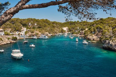 Mallorca 'daki Akdeniz kıyısı. Figuera Koyu. Turkuaz sular. İspanya