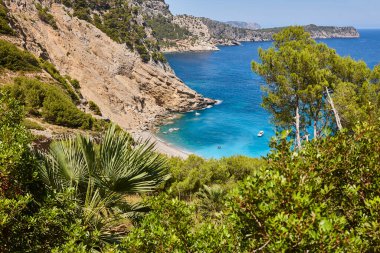 Mallorca 'da turkuaz sular. Coll Baix plajı. Akdeniz kıyı şeridi. İspanya