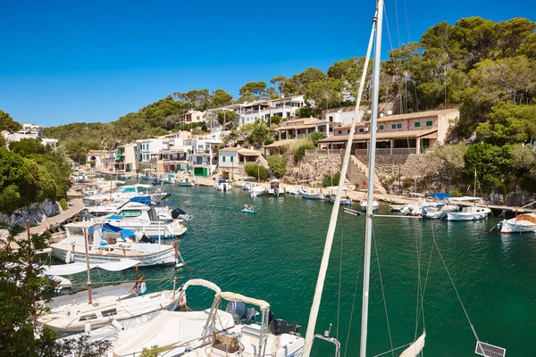 Mallorca 'daki Akdeniz kıyısı. Figuera Koyu. Turkuaz sular. İspanya