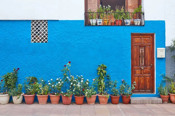 Fachada Edificio Tradicional Azul Blanco Decorada Con Plantas Espacio Copia —  Fotos de Stock