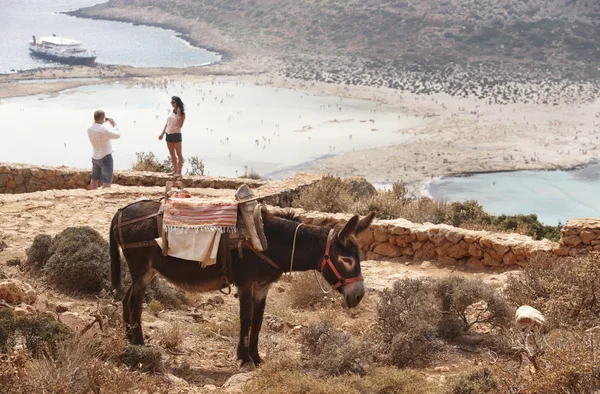 Balos beach och åsnan i Kreta. Medelhavslandskapet. Grekland — Stockfoto