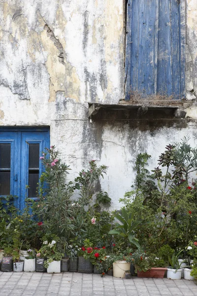 Antique facade with plants and flowers in Crete. Greece — Stock Photo, Image