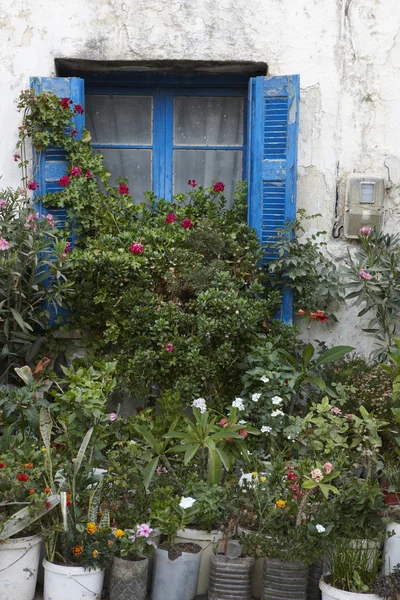 古色古香的外观与植物和鲜花在克里特岛。希腊 — 图库照片