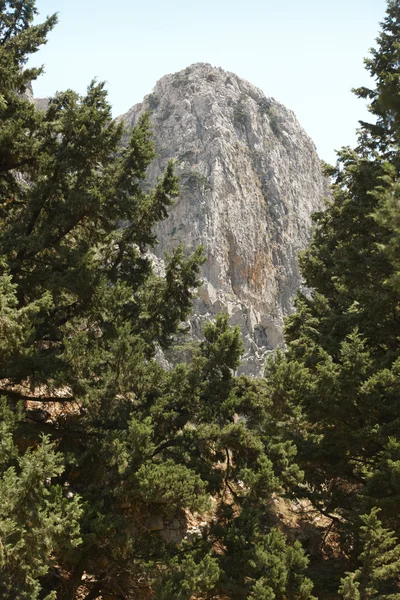 Peak and tree at Imbros Gorge. Crete. Greece — Stock Photo, Image