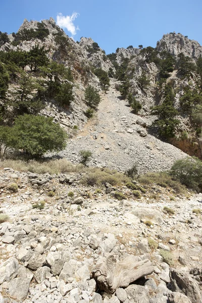 Rocce crollate a Imbros Gorge. Creta. Grecia — Foto Stock