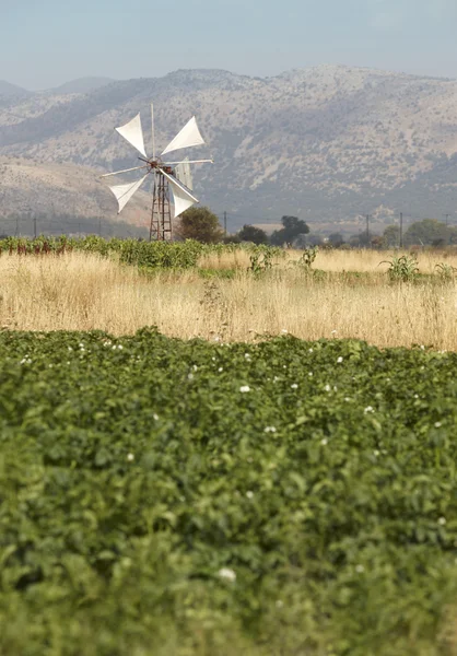 Mulini a vento tradizionali nell'altopiano di Lasithi. Creta. Grecia — Foto Stock