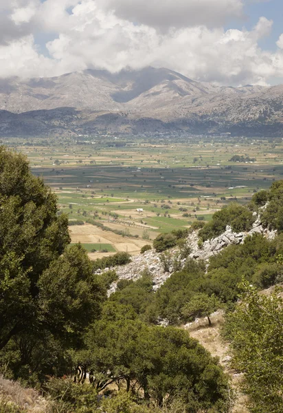 Paisaje en la meseta de Lasithi en Creta. Países Bajos — Foto de Stock