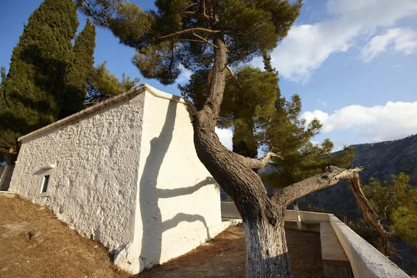 Iglesia griega tradicional con pino. Creta. Países Bajos — Foto de Stock