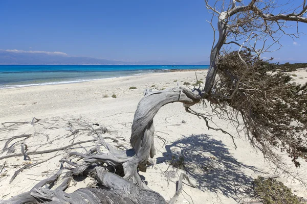 Χρυσή Παραλία νησί κοντά Κρήτης. Ελλάδα — Φωτογραφία Αρχείου