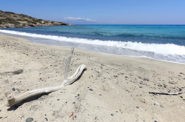 Playa de la isla Chrysi cerca de Creta. Países Bajos —  Fotos de Stock