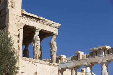 Atina akropolisi. büyük athena Tapınağı polios ve parthenon