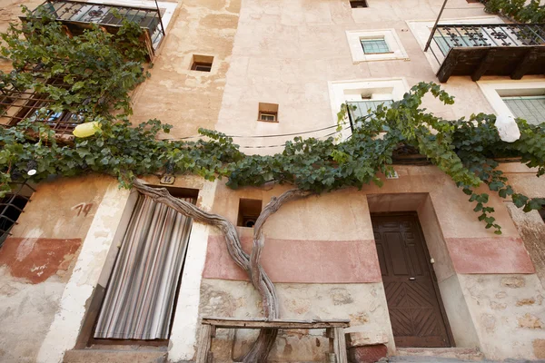 Güzel ağaç ve antik cephe albarracin içinde. İspanya — Stok fotoğraf