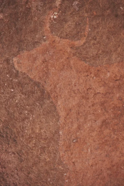Býčí hlavou starověké skalní malby v jeskyni. Španělsko — Stock fotografie